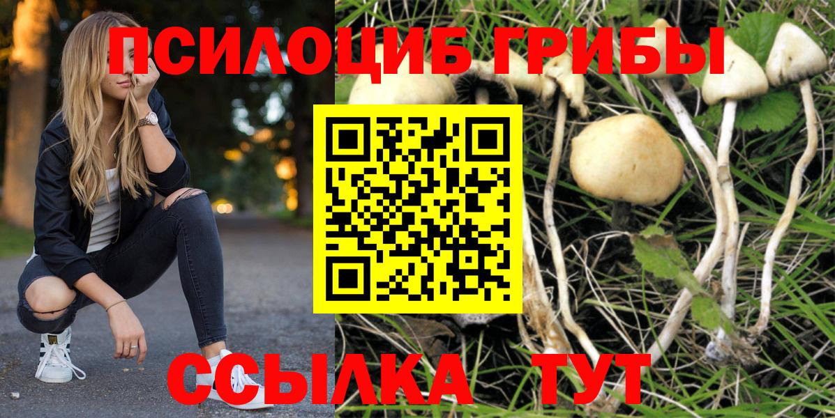 Спасск-Дальний  Псилоцибиновые грибы мухоморы  Вход с VPN  Псилоцибиновые грибы Psilocybe 